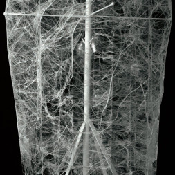 Напольный светильник Flos Fantasma F2201009