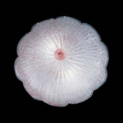 Настенно-потолочный светильник Vetri Lamp 258/40 Cristallo/Rosso