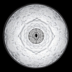 Подвесной светильник Flos Skygarden 2 ECO Glossy black F6421030