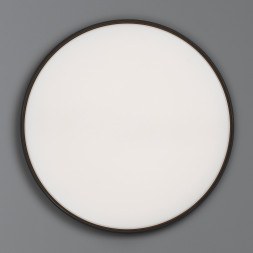 Настенно-потолочный светильник Flos Clara Black ring F1570009+F1571030