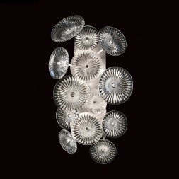 Настенный светильник Fine Art Lamps Chrysanthemums 884750