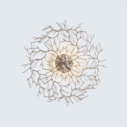 Настенно-потолочный светильник Serip Coral AP1486 FO_PB