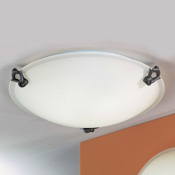 Настенно-потолочный светильник Orion Leuchten NU 9-343/40 Antik