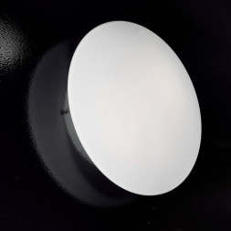 Настенно-потолочный светильник Orion Leuchten NU 9-345/37 Opal