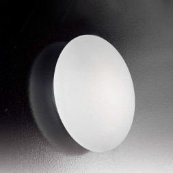 Настенно-потолочный светильник Orion Leuchten NU 9-345/30 Opal