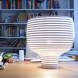 Настольная лампа Foscarini Behive 203001 10
