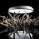 Потолочный светильник Linea Light Reflexio 8530