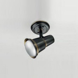 Cпот (точечный светильник) Lustrarte Spot s 800-0077
