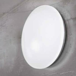 Настенно-потолочный светильник Orion Leuchten NU 9-387/35 Opal