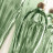 Настенный светильник Euroluce Abstract AP1/5 Gray Viridian