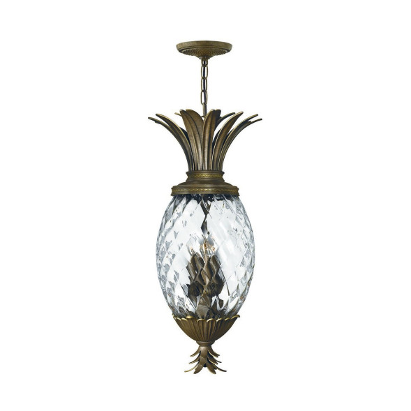 Подвесной светильник Hinkley Plant HK/PLANT4/P PZ