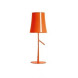 Настольная лампа Foscarini Birdie 221001S 53