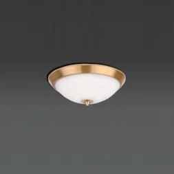 Потолочный светильник Orion DL 7-465/24 gold-matt/opal-matt