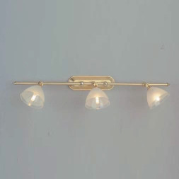 Бра Orion Leuchten STR 10-347/3 gold-matt/438 klar-matt