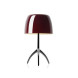 Настольная лампа Foscarini Lumiere 0260112R2 62
