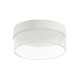 Потолочный светильник Linea Light Crumb 90282